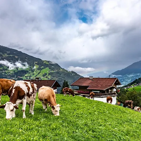Apartamento Ausblick Zillertal *