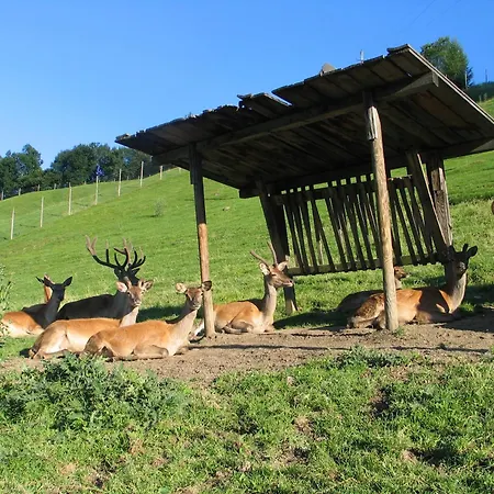 Appartement Ausblick Zillertal