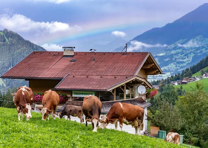 Ausblick Zillertal Apartmán