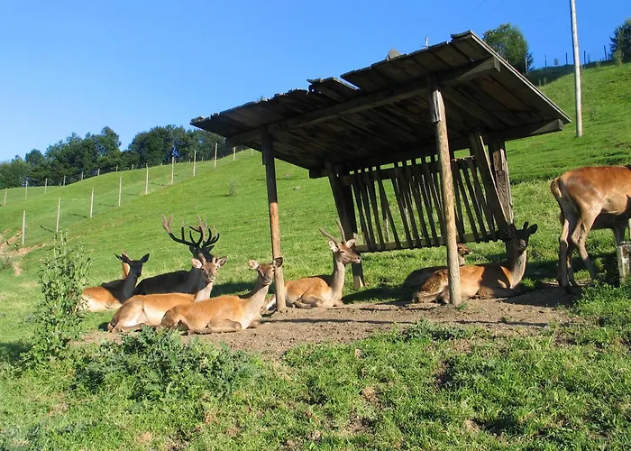 Apartmán Ausblick Zillertal