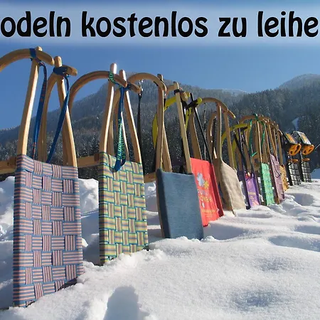 Ausblick Zillertal Διαμέρισμα *