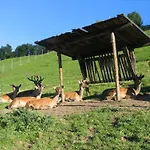 Lägenhet Ausblick Zillertal
